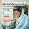 BDM LAB Vitamina C Suplemento Alimenticio 3x2 60 cápsulas c/u