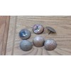 1 1/2 Inch, Round Hammered Clavos, Solid Copper, Decorative Door