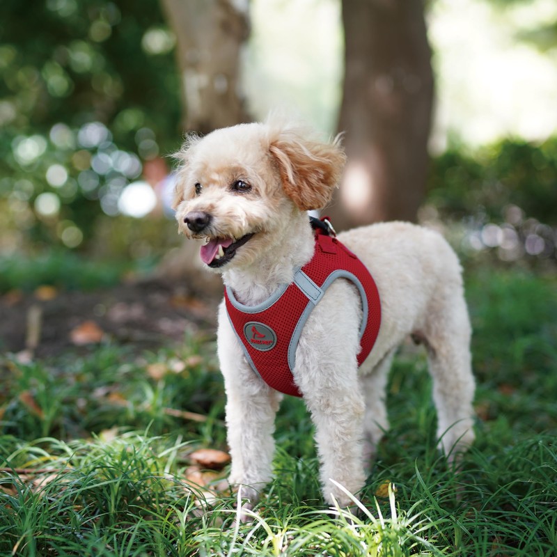 Kruz Dog Harness (Chest 20.5"-22", Weight 20–25 lbs) Athletica Adjustable
