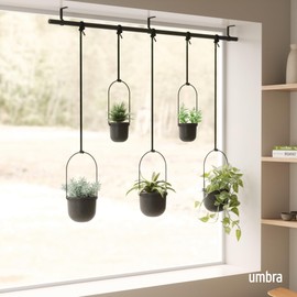 Umbra Triflora Hanging Planter for Window, Indoor Herb Garden, Set of 5, Black
