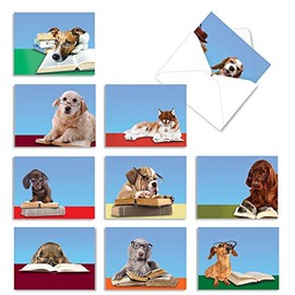 The Best Card Company - 10 Blank Dog Greeting Cards for All Occasions (4 x 5.12 Inch) - Reading Eye Dogs M3967