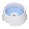 Pet Slow Water Feeder Splash Proof Prevent Slip Raised Water