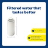 petsafe Drinkwell 360 Premium Carbon Filters, 3 Pack