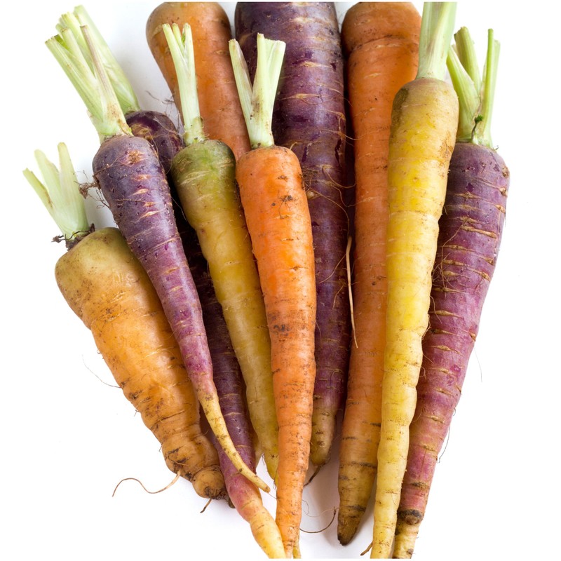 Seed Needs, Kaleidoscope / Rainbow Blend Carrot Seeds for Planting