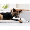 Suitical Recovery Sleeve for Dogs | Front Leg Protection After