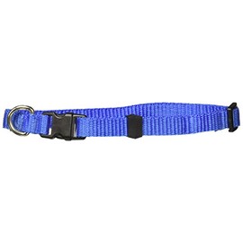 Fancypets TX44106 Juego Correa/Collar Acanalado, Talla Chica