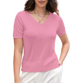 DAIMIDY Women's V Neck Short Sleeves Sweaters Soft Knit Lightweight Pullover Top, A01 Dark Pink, X-Large