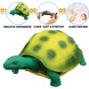 4 Pack 5 Inch Rubber Turtle Toys, Tortoise Sets for
