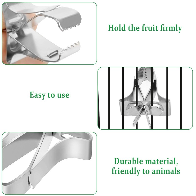 Parrots Fruit Vegetable Feeder Clip 5 Pieces Bird Feeder Device