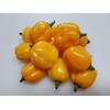 Aji Dulce Yellow Pepper Seeds 10+ Seeds