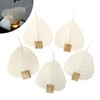 5 PCS Natural Pipal Leaf Tea Infuser