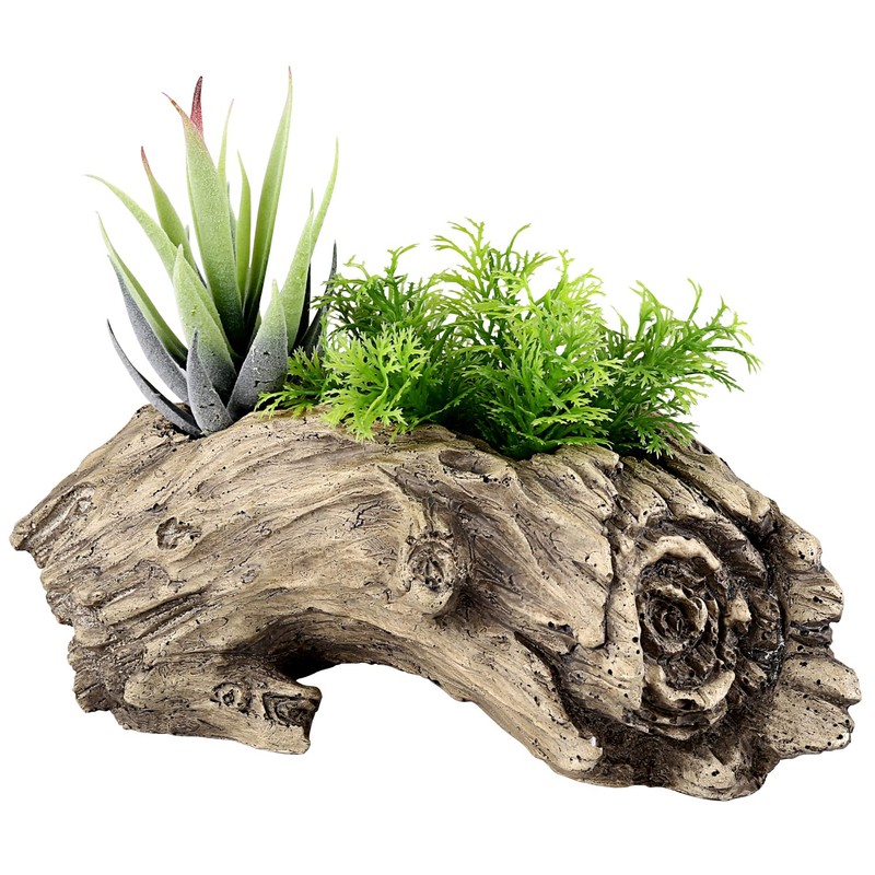 Aclema Succulent Planters Driftwood Planter Succulent Pots Small Plant Flower