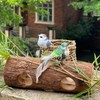 LWINGFLYER Artificial Birds Decoration Colourful Bird with clips for Crafts