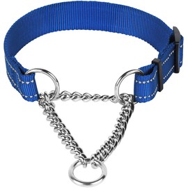 CollarDirect Martingale Dog Collar Training Adjustable Stainless Steel Chain Reflective Nylon Pet Collars for Medium Large Dogs (L, Neck Fit 16"-24", Blue)