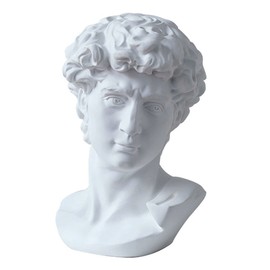 LKXHarleya 11.8 Inch Classic Greek Michelangelo David Bust Statue Replica Sculpture Figurine for Artist