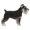 Hi-Line Gift Standing Miniature Schnauzer