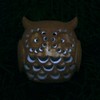 Solar Light LED Outdoor Garden Light Lamp Owl Height 16