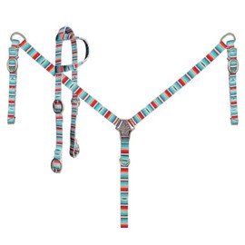 Showman Serape Southwest Print Nylon Headstall & Breast Collar Set