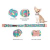 Cute Flamingo Summer Dog Collar, Unique Style Paws Green Pet