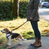 QQPETS Dog Harness Leash Set Adjustable Heavy Duty No Pull