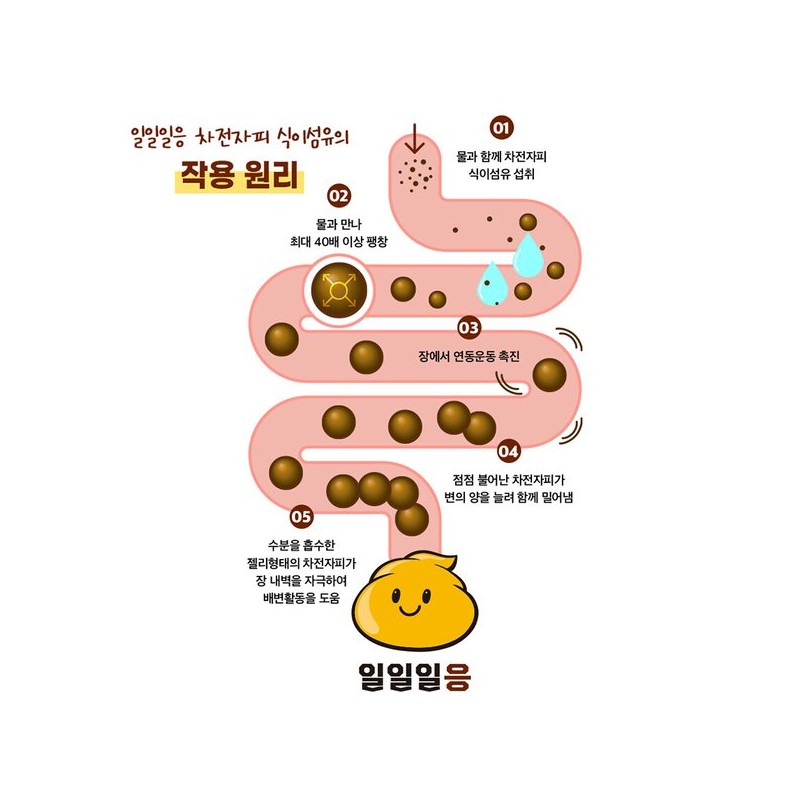 일일일응 차전자피 식이섬유 변 비움 쾌변 엔 5g 28포 1박스