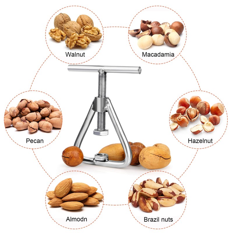 Nutcracker Nut Cracker Walnuts Nut Cracker Stainless Steel Walnut Cracker