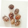 DOITOOL Set of 50 Dried Pine Cones Decorative Artificial Pine