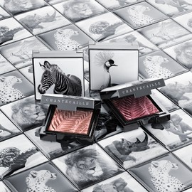 Chantecaille Luminescent Eye Shade 2.5g, zebra / 샹테카이 루미네센트 아이섀이드 2.5g, 얼룩말