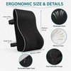 Memory Foam Lumbar Support Pillow for Office Chair and Car