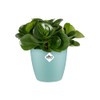 elho Brussels Round Mini 7 - Flower Pot for Indoor