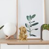 Housoutil Resin Monkeys, Nothing See Gold Monkey Statue, Evil Golden