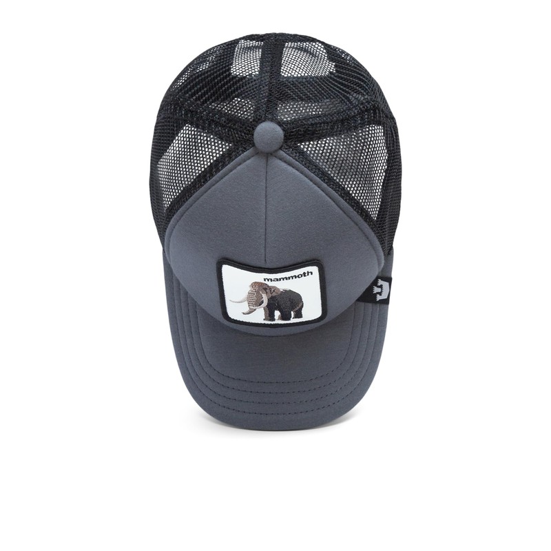 Goorin Bros. Extinct Kids Collection Trucker Hat for Boys and