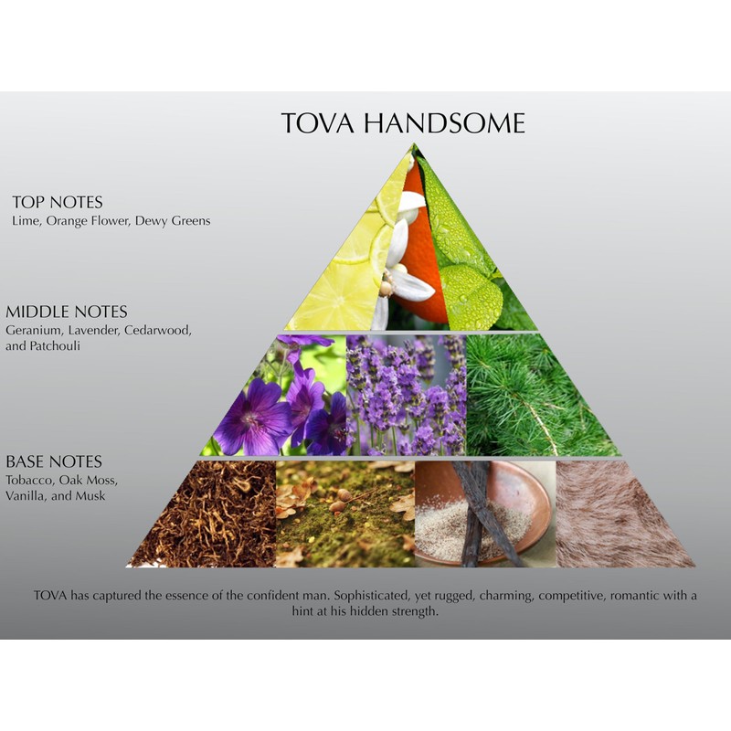 Tova Handsome for Men Eau de Toilette – Refreshing Citrus