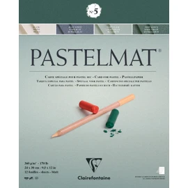 Clairefontaine Pastel Mat No.5 Block 24x30cm 12 sheets 360g/m² Acid-free Neutral Paper Pastel Pencil Colored Pencil Clairefontaine cf96114
