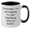 Developer Humor Mugs - Funny I'm Not Arguing I'm Just