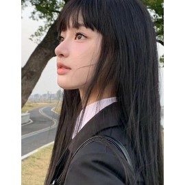 GFun Bangs Wig, Thick, Natural, Full Hand Plant, Partial Wig, Point Wig, Costume, Everyday, Black Brown