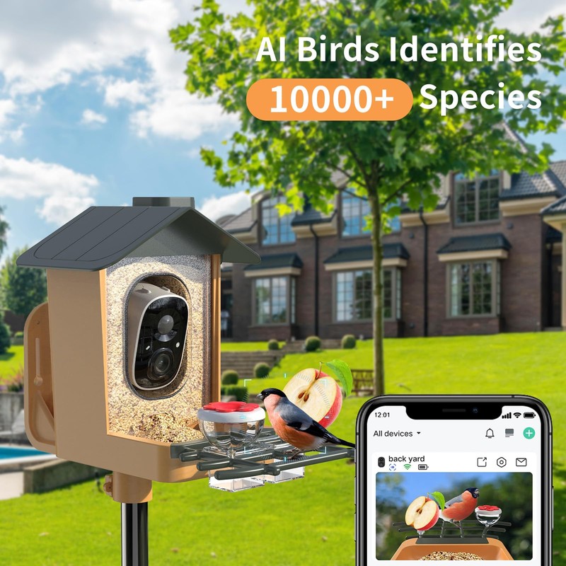 Bird Feeder with Camera 2K HD Video AI Identify Species