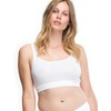 Speidel Organic Cotton 1602 Bralette Pack of 2, black