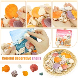 WEOXPR Mixed Sea Shells, 100+ Pcs Beach Seashells Starfish, Various Sizes Ocean Seashells for Fish Tank Vase Fillers, Beach Theme Party Wedding Decor, Candle Making, DIY Crafts