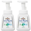 iClean kitchen hand soap, fresh basil scent, 2 pieces / 아이깨끗해 키친용 핸드솝 프레시한 바질향, 2개