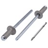 SKIR'CO (Pack of 100) Blind Rivets Painted 3.2 x 8