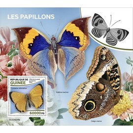 Guinea - 2022 Grecian Copper Butterfly - Stamp Souvenir Sheet - GU220216b