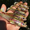 Fishing Soft Plastic Lures - Pre-Rigged Soft Fishing Lures -