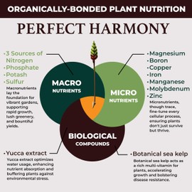 Grow Goodies Garden Fertilizer (1LB) All Purpose Superfood for Vigorous Growth of Gardens & Blooms : 16-16-16 NPK