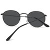 aisswzber Small Round Polarized Sunglasses 3447p-Matt Black