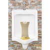 Splash Hog Vertical Urinal Screen