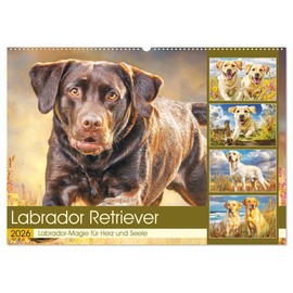 Labrador Retriever. Labrador-Magie für Herz und Seele (Wandkalender 2026 DIN A2 quer), CALVENDO Monatskalender: Diese Hunde zeigen ihre Lebensfreude ... Naturmomenten (CALVENDO Tiere)