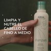 Aveda Shampure™ Nurturing Shampoo Limpia suavemente