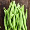 Contender Bush Bean Seeds - 1 Lb - Non-GMO, Heirloom