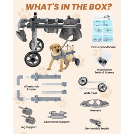 EMUST Cat Wheel Chair for Indoor Cats, Dog Wheelchair for Back Legs, Small Wheelchairs for Dogs with Reflective Stripe, Lightweight Doggy Wheelchair, Grey, XS